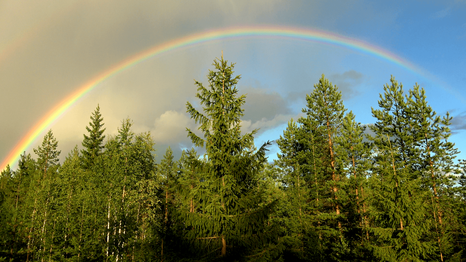 Do you know whats happens after the rain? yes, it's a victory rainbow.